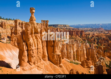 Le marteau de Thor, Bryce Canyon National Park, Utah, USA Banque D'Images