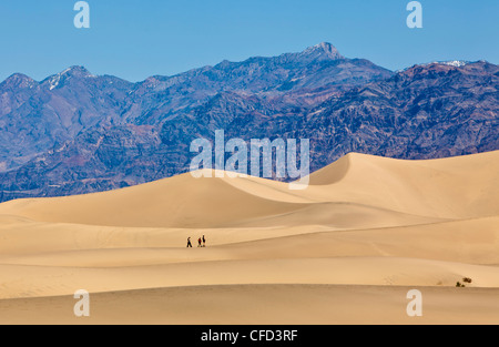 Mesquite Flat dunes de sable, près de Stovepipe Wells Village, la vallée de la mort, Californie, États-Unis d'Amérique. Banque D'Images