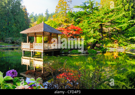 Un belvédère sur un étang dans un jardin japonais à Hatley Castle à l'Université Royal Roads de Victoria, Colombie-Britannique, Canada. Banque D'Images