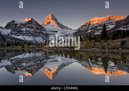 Mount Assiniboine avec Alpenglow reflétée dans un tarn, parc provincial du mont Assiniboine, Colombie Britannique, Canada Banque D'Images