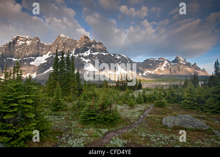 Début de la lumière du matin sur les remparts et le lac Amethyst, vallée Tonquin, Jasper National Park, Alberta, Canada Banque D'Images