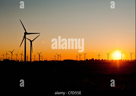 Les roues à l'éolienne d'une ferme éolienne au coucher du soleil, Schleswig Holstein, Allemagne, Europe Banque D'Images