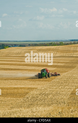 Déplacer le tracteur et l'air jusqu'à la plantation semoir dans un canola jusqu'à zéro les chaumes de blé champ, Bruxelles, Manitoba, Canada Banque D'Images