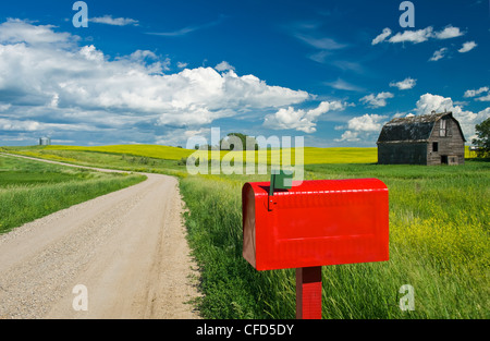 Boîte aux lettres le long de routes de campagne, avec ancienne grange à l'arrière-plan, près de Somerset, au Manitoba, Canada, Banque D'Images