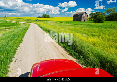 Un camion sur une route de campagne à l'ancienne grange et des champs de colza dans l'arrière-plan, près de Somerset, Manitoba, Canada Banque D'Images