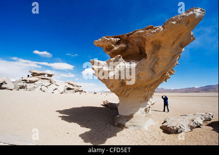 Formations rocheuses dans l'Altiplano, Bolivie, Amérique du Sud Banque D'Images