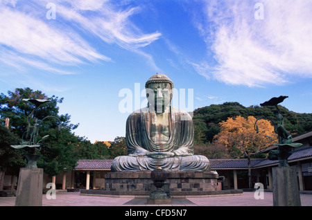 Japon, Tokyo, Kamakura, Daibutsu, le Grand Bouddha avec les feuilles d'automne Banque D'Images