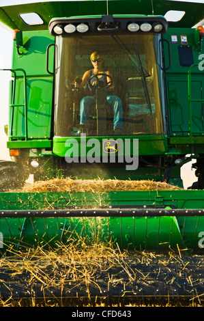 Une femme fonctionne une moissonneuse-batteuse pendant la moisson du blé de printemps près de Somerset, Manitoba, Canada Banque D'Images