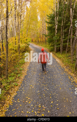 Un homme marche le long d'une route de campagne, près de Kenora, dans le nord-ouest de l'Ontario, Canada Banque D'Images