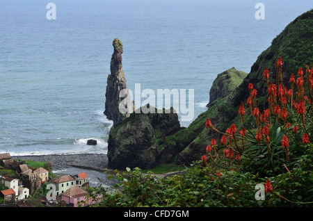 Ilheus da Ribeira da Janela, Madeira, Portugal, l'océan Atlantique, l'Europe Banque D'Images