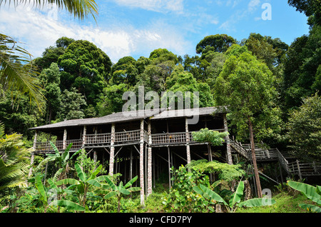 Maison traditionnelle, Sarawak Cultural Village, Sarawak, Bornéo, Malaisie, Asie du Sud, Asie Banque D'Images