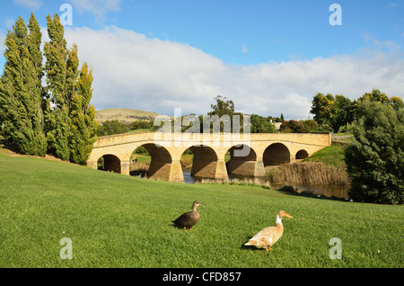 Pont de Richmond, le plus vieux pont de la route de l'Australie, Richmond, Tasmanie, Australie, Pacifique Banque D'Images