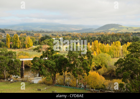 Les terres agricoles, Bushy Park, Tasmanie, Australie, Pacifique Banque D'Images