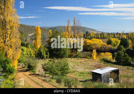 Campagne à l'automne, Derwent Valley, près de New Norfolk, Tasmanie, Australie, Pacifique Banque D'Images