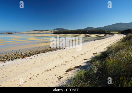 La baie Presqu'île Norfolk, Forestier, Tasmanie, Australie, Pacifique Banque D'Images