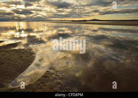 La côte de la Baie d'Anderson, Bridport, Tasmanie, Australie, Pacifique Banque D'Images