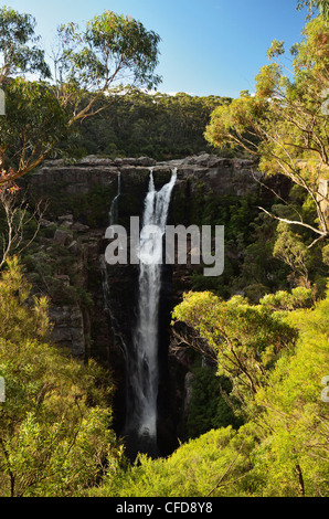 Carrington Falls, parc national de Budderoo, New South Wales, Australie, Pacifique Banque D'Images