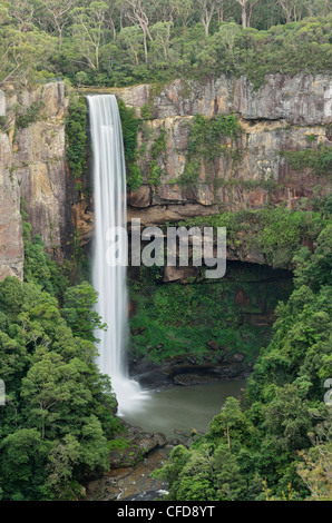 Belmore Falls, parc national de Budderoo, New South Wales, Australie, Pacifique Banque D'Images