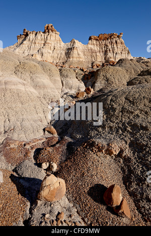 Rock formation dans les badlands qui ressemble à un château, Bisti Wilderness, New Mexico, United States of America, Banque D'Images