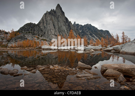 Pic Prusik et mélèzes reflétée dans Gnome Tarn, Haut les enchantements, les lacs alpins Désert, Washington State, USA Banque D'Images