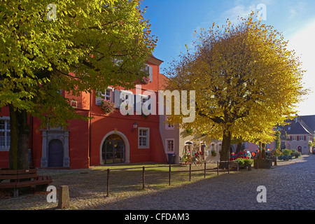 Burkheim, ville historique avec mairie, Kaiserstuhl, Bade-Wurtemberg, Allemagne, Europe Banque D'Images