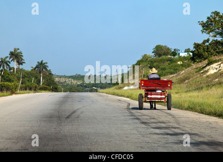 La conduite de l'homme cheval et panier sur une large route de campagne déserte, Cuba, Antilles, Amérique Centrale Banque D'Images