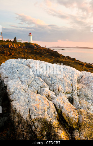 , Fucus (Fucus vesiculosus), algues, à marée basse, le phare de Green Point dans la baie de Fundy, Nouveau-Brunswick, Canada Banque D'Images