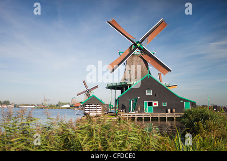 Les moulins à vent de Zaanse Schans, Zaandam, Noord Holland, Hollande, Europe Banque D'Images