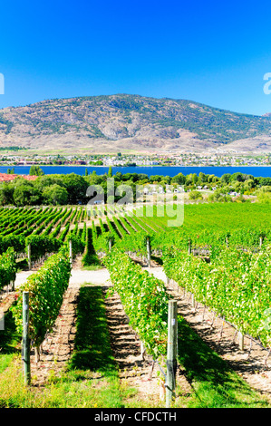 Le lac Osoyoos et le vignoble de Nk'Mip Cellars, Nk'Mip Desert Cultural Centre, Osoyoos, Colombie-Britannique, Canada Banque D'Images