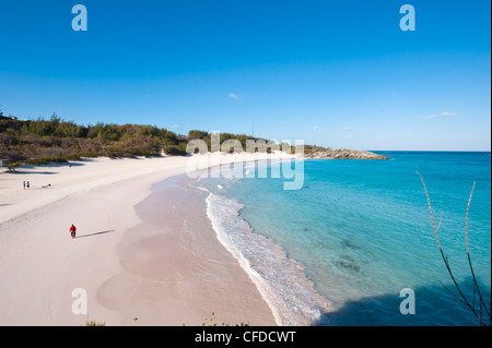 Plage de Horseshoe Bay, Bermudes, l'Amérique centrale Banque D'Images