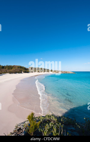 Plage de Horseshoe Bay, Bermudes, l'Amérique centrale Banque D'Images