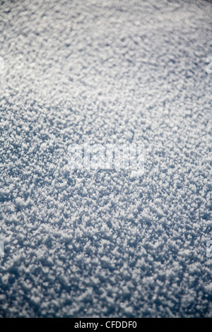 Cristaux de givre de surface sur la neige tôt le matin. Banque D'Images