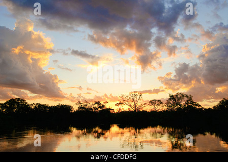 Coucher du soleil sur le Pantanal les zones humides du sud-ouest de l'Amérique du Sud, Brésil Banque D'Images