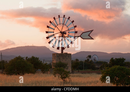 Les roues du vent, cottage, près de Campos, Majorque, Îles Baléares, Espagne, Europe Banque D'Images
