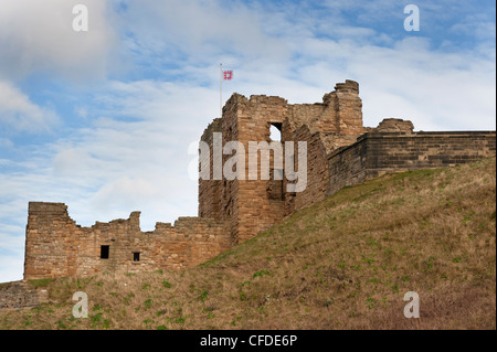 Tynemouth Priory et château Banque D'Images