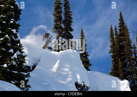 Un surfeur est diffusé sur un oreiller de neige tandis que sur un voyage de ski de chat. Montagnes Monashee, Vernon, British Columbia, Canada Banque D'Images