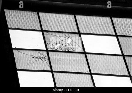 Trous de balle dans les fenêtres d'un avion à partir de la suspension de l'attaque japonaise sur Pearl Harbor. Banque D'Images