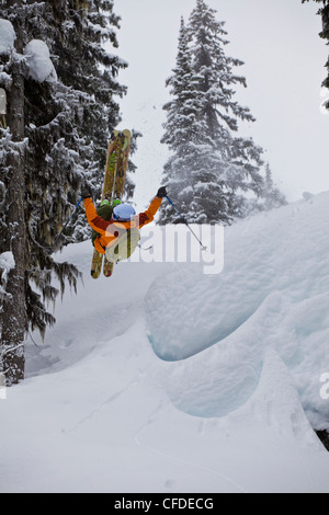 Un skieur masculin sur un oreiller neige sari lors d'un chat voyage de ski. Montagnes Monashee, British Columbia, Canada Banque D'Images