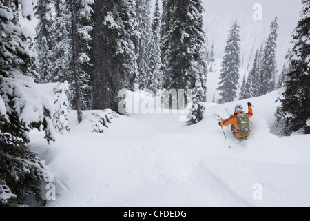 Un homme dans la poudreuse skis monashees tandis que cat skiing. Vernon, British Columbia, Canada Banque D'Images