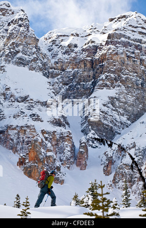 Un skieur de télémark de mâle skins son chemin jusqu'à la Promenade des glaciers alpins, National Park, Banff, Alberta, Canada Banque D'Images