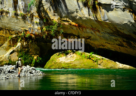 L'homme pêche de mouche, Rangitikei River, Île du Nord Nouvelle-zélande Banque D'Images