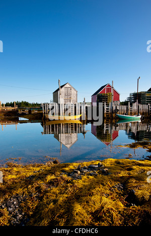 Doris reflétée dans l'eau à marée basse, Blue Rocks, Lunenburg, Nova Scotia, Canada Banque D'Images