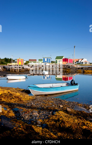 Doris reflétée dans l'eau à marée basse, Blue Rocks, Lunenburg, Nova Scotia, Canada Banque D'Images