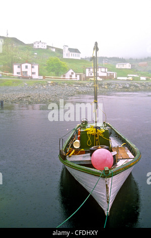 Bateau en bois, Brigus South, Terre-Neuve, Canada Banque D'Images