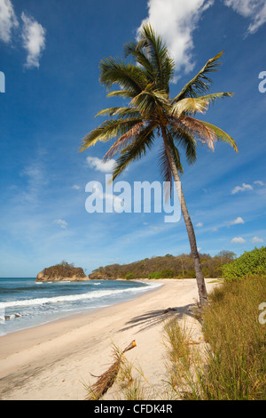 Playa Pelada, Nosara, Péninsule de Nicoya, Province de Guanacaste, Costa Rica, Amérique Centrale Banque D'Images