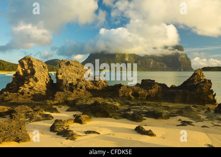 Rock avec le Mont Lidgbird Calcarenite et le Mont Gower, Mer de Tasman, Lord Howe Island, New South Wales, Australie Banque D'Images