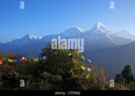 Vue sur l'Annapurna I et l'Annapurna Sud de la colline de Poon, avec des drapeaux de prières bouddhistes, sanctuaire de l'Annapurna Himalaya, Népal, Région Banque D'Images