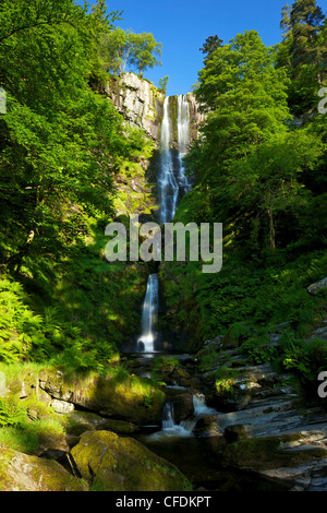 Pistyll Rhaeadr chute près de Llanrhaeadr-ym-Mochnant, tôt le matin, en juin, Powys, Pays de Galles, Royaume-Uni, Europe Banque D'Images