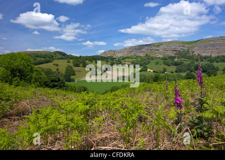 Vue vers l'escarpement de calcaire, Eglwyseg Creigiau de Castell Dinas Bran, Llangollen, Denbighshire, Wales, Royaume-Uni Banque D'Images