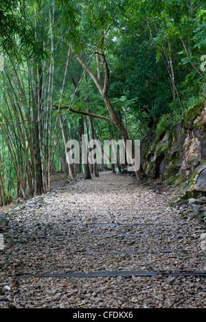 Les voies ferroviaires d'origine de la Birmanie la Thaïlande de chemin de fer de la mort au col de l'Enfer, près de Kanchanaburi, Thaïlande Banque D'Images